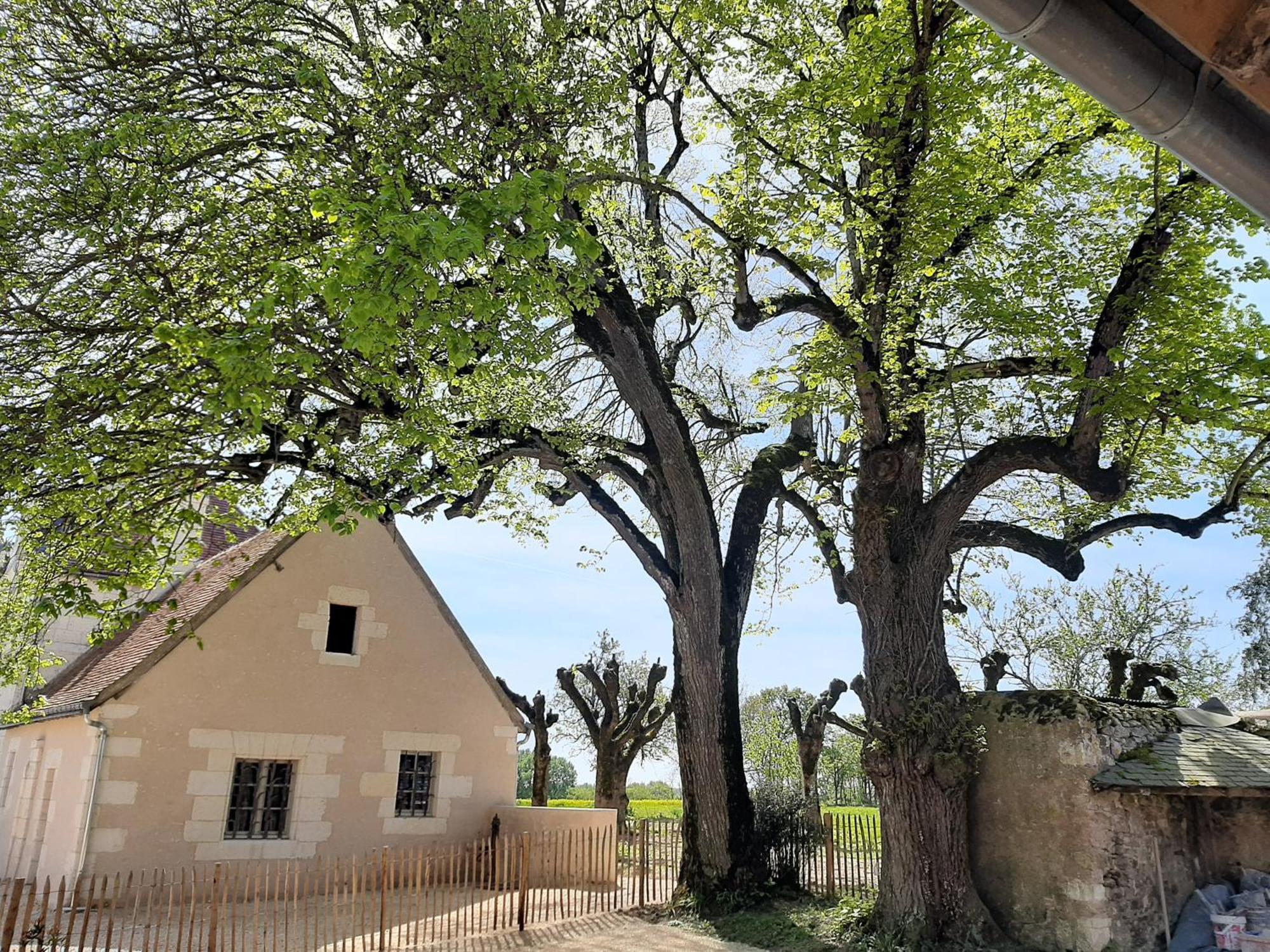 Le Puits Renaissance - De Caractere Et Piscine Chauffee *